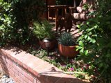 Foliage and Brick Wall