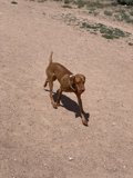 Running Free