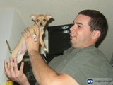 Dave and His Chihuahua Companion