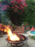Backyard Oasis