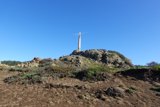 Towering above the Wilderness