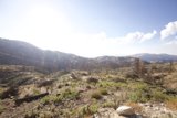 Majestic Wilderness
