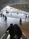 Descending the Terminal Escalator