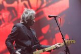 The Suited Bassist