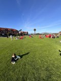 Serene Solitude in the Bustling Presidio