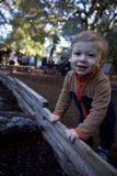 Woodland Wonder