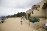 Child Encounters Life-Size T-Rex Display at Hilltop Park