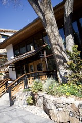 Rustic Mountain Architecture with Ancient Tree Integration