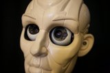 Robot Head with Intense Gaze