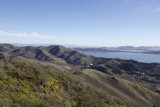 The Majesty of the Bay: A Hilltop Perspective