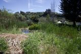 Verdant Tranquility: Celebrating Earth Day at Alemany Farm