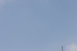 Towering Skies