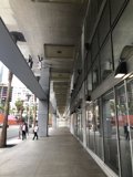 Urban Pathway