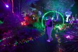 Enchanted Evenings at the Garden