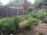 Peaceful Backyard Garden