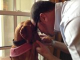 Man and Hound Bonding in Pasadena