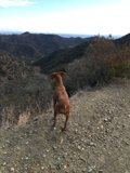 Late Afternoon Trail