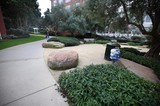 Child Exploring Urban Park with Natural Stone Features