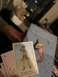 A game of cards with a feline friend