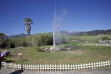 Spectacular Eruption at Old Faithful Geyser, Calistoga