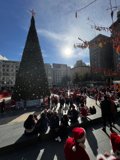 Christmas Cheer in the Urban Jungle