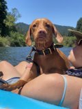 Summer Fun on the Russian River