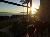 Sunset Silhouettes