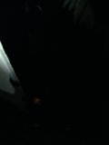 Spotlit in the Dark
