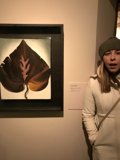 Leafy Art