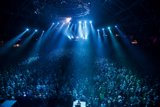 Radiant Nightlife at Coachella