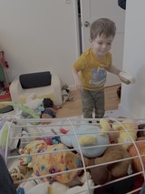 Young Boy Playing in Organized Bedroom
