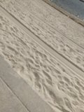 Serenity on the Shoreline