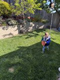 Springtime Adventures in the Backyard