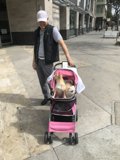 A Man's Best Walking Companion