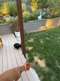 Backyard Adventures at Sunset
