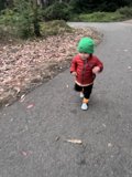 Joyful Steps in The Presidio