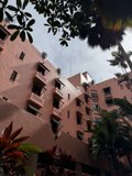 Urban Oasis in Waikiki