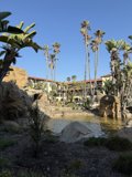 Tranquil Oasis in Oxnard
