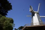 Serenity Meets Mechanism: Blue Sky Over Golden Gate Park Windmills