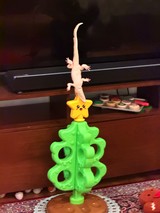 Whimsical Christmas Tree with Gecko Topper