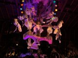 Feathered Chandelier at Disneyland