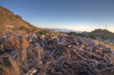 Woodpile Wilderness