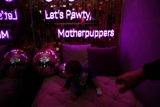 Baby's Playful Neon Party