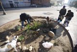 Planting a Pathway Garden