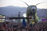 Festival Insect Adventure