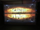 Sunset Projection