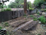 A Serene Backyard Garden Oasis