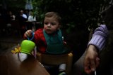 Baby's Delightful Dining Adventure