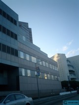 The Glass Fortress