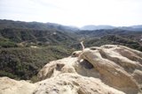 Majestic Mountain View
